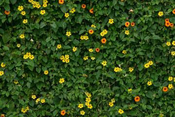 JARDIN FLORES PLANTAS ARVOLES