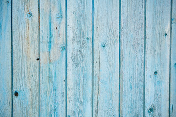 Naklejka premium The texture of a blue wooden wall, background
