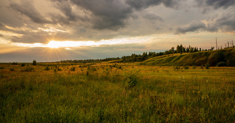 Fototapeta premium Summer landscape sunset, meadow, strawberry and grass in the light. nature,