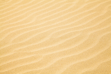 Fototapeta na wymiar Sand Waves