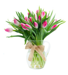Pink fresh tulip flowers with green leaves in glass vase isolated on white background