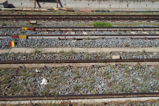 Three sets of train tracks parallel with rocks and weeds