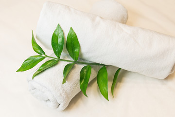 Obraz na płótnie Canvas Two white cotton towels decorated with branch of green plant with green leaves on a massage couch in spa salon. Closeup view.