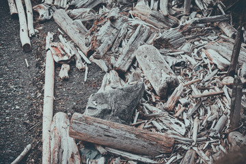 Driftwood shore 2 