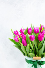 Violet tulip flowers in pot close up on gray background with copy space