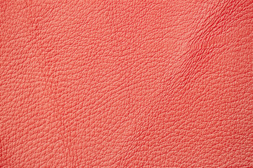 Fototapeta premium Texture of genuine leather close-up, fashionable pantone color. For natural, artisan backgrounds, backdrop
