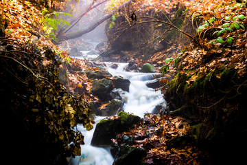 Stream with trees and rocks in mountain in Autumn.