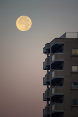 沈みゆく夜明けの西空の月