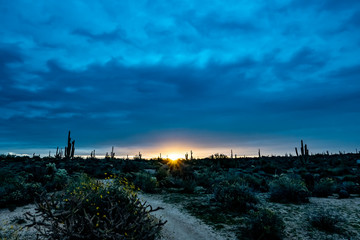 Sunrise on a cloudy day in the desert