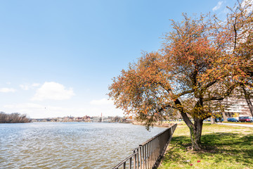Washington DC, USA Georgetown and Foggy Bottom riverside view with orange tree during day on riverfront with buildings in spring, Potomac River water