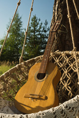 Guitar and dreamcatchers on a pine branch in the summer forest