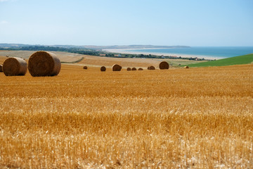 Feld mit Strohballen, Rundballen in der Normandie, Frankreich, Europa, im Hintergrund di Küste und das Meer