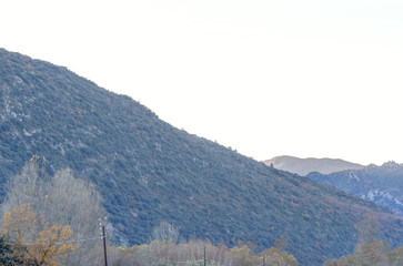 A landscape of the pre-Pyrenees lands and mountains, with fir and pine tree forests, on the way from Riglos to La Peña in winter, Aragon, Spain