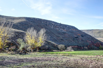 A landscape of the Aragonese countryside hills, with bare trees and green fields, in a sunny autumn, around Monterde town, Spain