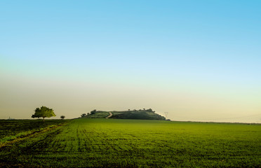 Fototapeta premium view and skyline of hill with green field in spring.