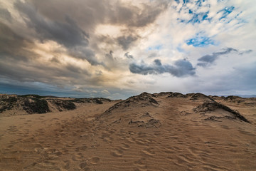 Fototapeta na wymiar Sand dunes, Guadalupe Dunes National Wildlife Reserve, California