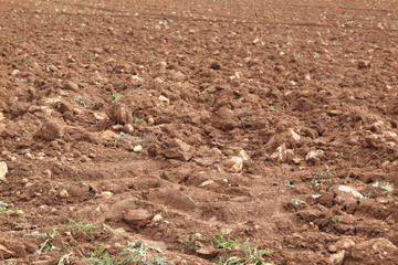 A close view of a brown earth plowed field in autumn in Monterde rural town in Aragon region, Spain