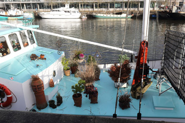 A sailing boat with light blue deck, with vases and plants over it, moored in the Avon river wharf...