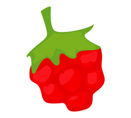 Raspberry