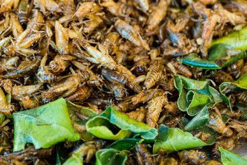 Cricketsfried or fried bug with kaffir lime leaf