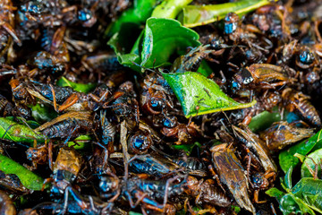 Cricketsfried or fried bug with kaffir lime leaf