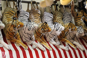 White and orange stuffed tigers lined up in an attraction in the Gorsedd Gardens amusement park in Bristol, United Kingdom