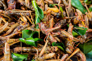 grasshopper fried or fried bug with kaffir lime leaf