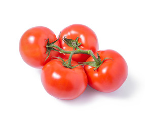 Ripe red tomatoes on branch