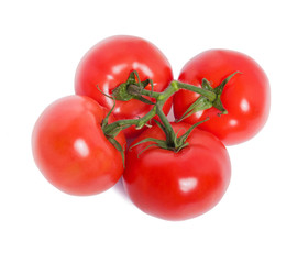 Ripe red tomatoes on branch