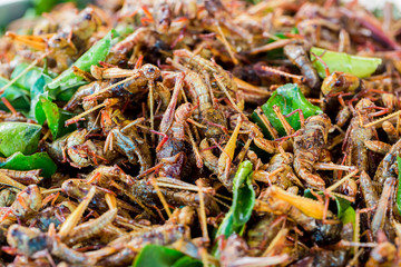 grasshopper fried or fried bug with kaffir lime leaf