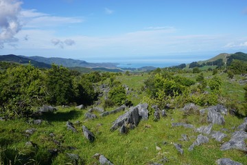 View across Takaka Hill down to Golden Bay, South Island, New Zealand