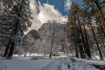 Yosemite National Park