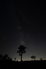 tree and moon galaxy silhouette