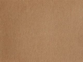 brown texture of cardboard