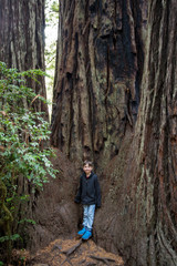 Naklejka na ściany i meble Kids Hiking at Lady Bird Johnson Grove Trail California Redwoods