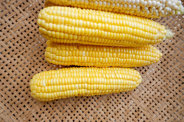 Corn on threshing basket, closeup detail of fresh corn,