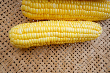 Corn on threshing basket, closeup detail of fresh corn,
