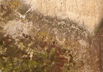 Obraz na płótnie Canvas Background of stone wall texture
