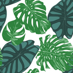 Seamless Hand Drawn Botanical Exotic Pattern with Philodendron and Alocasia Leaves. Vector Jungle Foliage in Watercolor Style. Seamless Tropic Leaf Background for Textile, Cloth, Fabric, Paper.