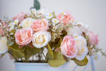 Beautiful pink flower in flower pot used for home decoration.