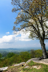 Jump off Rock  Hendersonville North Carolina