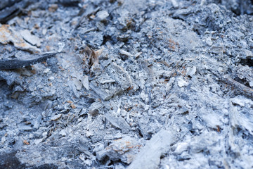 Ashes after the fire went out. Ash texture.Burned out ashes grunge texture.