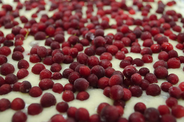  frozen lingonberries in a pie dough