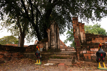 Ruin of ancient city destroy from War in Phra Nakhon Si Ayutthaya Province of Thailand
