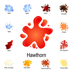 spurt of hawthorn juice icon. Detailed set of color splash. Premium graphic design. One of the collection icons for websites, web design, mobile app