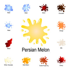 Fototapeta na wymiar spike of Persian melon juice icon. Detailed set of color splash. Premium graphic design. One of the collection icons for websites, web design, mobile app