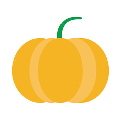 Pumpkin fresh vegetable