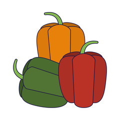 fresh peppers vegetables
