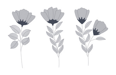 set of monochrome flowers