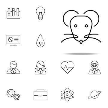 rat icon. Scientifics study icons universal set for web and mobile